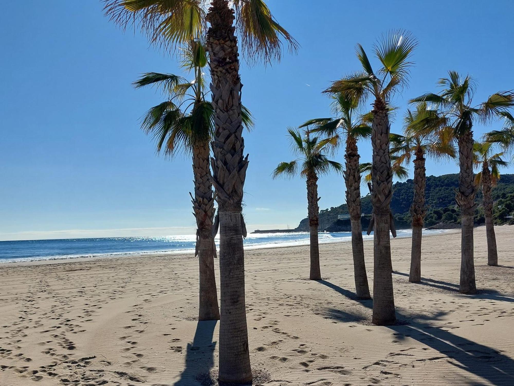 Apartamento Neptuno Sunrise Magic World Oropesa del Mar Zewnętrze zdjęcie
